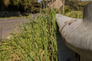 Come comportarsi davanti ad un incidente